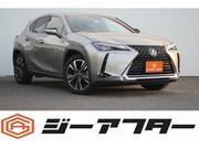 2019 LEXUS UX