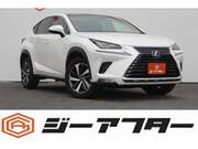 2018 LEXUS NX