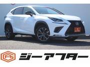 2017 LEXUS NX