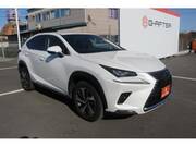 2018 LEXUS NX