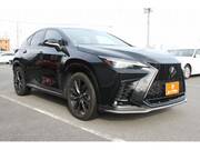 2022 LEXUS NX