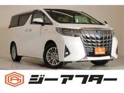2019 TOYOTA ALPHARD HYBRID