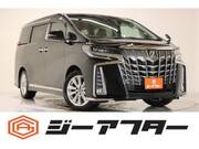 2019 TOYOTA ALPHARD 2.5S