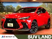 2022 LEXUS NX