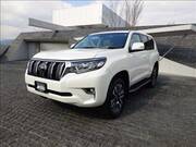 2024 TOYOTA LAND CRUISER PRADO TZ-G