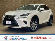 2019 LEXUS NX