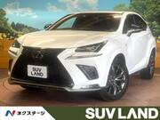2019 LEXUS NX