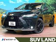 2023 LEXUS NX