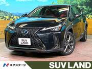 2019 LEXUS UX