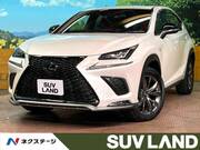 2019 LEXUS NX