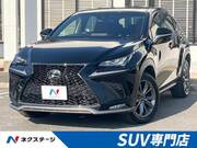 2018 LEXUS NX