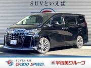 2021 TOYOTA ALPHARD S CPACKAGE