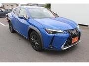 2020 LEXUS UX