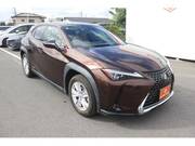 2019 LEXUS UX