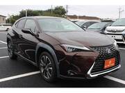2019 LEXUS UX