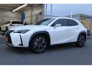 2019 LEXUS UX