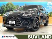 2022 LEXUS NX