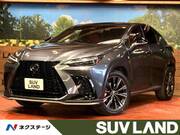 2022 LEXUS NX