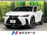 2021 LEXUS UX