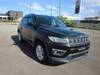 CHRYSLER JEEP COMPASS
