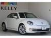 VOLKSWAGEN THE BEETLE