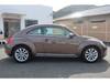 VOLKSWAGEN THE BEETLE
