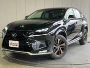 2018 LEXUS NX