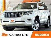 2019 TOYOTA LAND CRUISER PRADO
