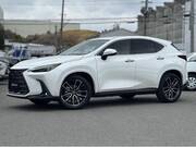 2024 LEXUS NX