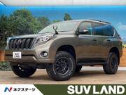 2017 TOYOTA LAND CRUISER PRADO TX
