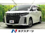 2019 TOYOTA ALPHARD HYBRID