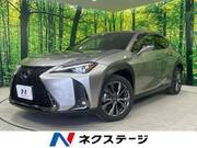 2019 LEXUS UX