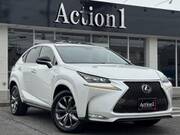 2014 LEXUS NX