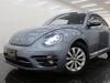 VOLKSWAGEN THE BEETLE