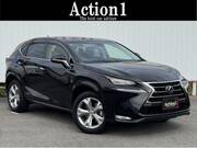 2015 LEXUS NX