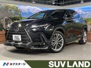 2023 LEXUS NX