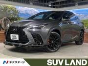 2024 LEXUS NX