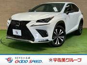 2019 LEXUS NX