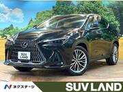 2022 LEXUS NX