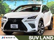 2019 LEXUS NX