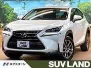 2015 LEXUS NX