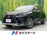 2015 LEXUS NX