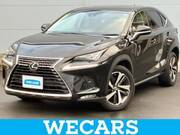 2019 LEXUS NX