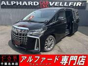 2019 TOYOTA ALPHARD 2.5S