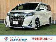 2019 TOYOTA ALPHARD HYBRID