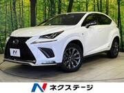 2021 LEXUS NX
