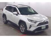 2019 TOYOTA RAV4 G