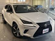 2019 LEXUS NX