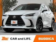2025 LEXUS NX