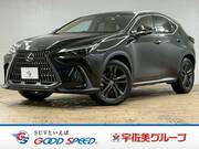 2022 LEXUS NX
